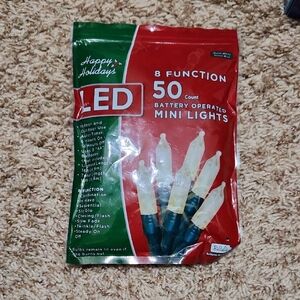 LED Mini Lights - 50 Count, Red and Green